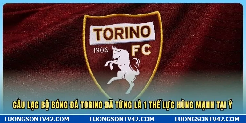 Câu lạc bộ bóng đá Torino đã từng là 1 thế lực hùng mạnh tại Ý