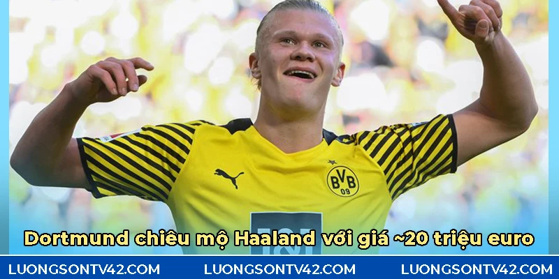 Ở Borussia Dortmund, Haaland đã thể hiện được tài năng của mình